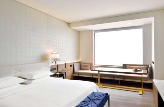 Andaz-Delhi-3.jpg