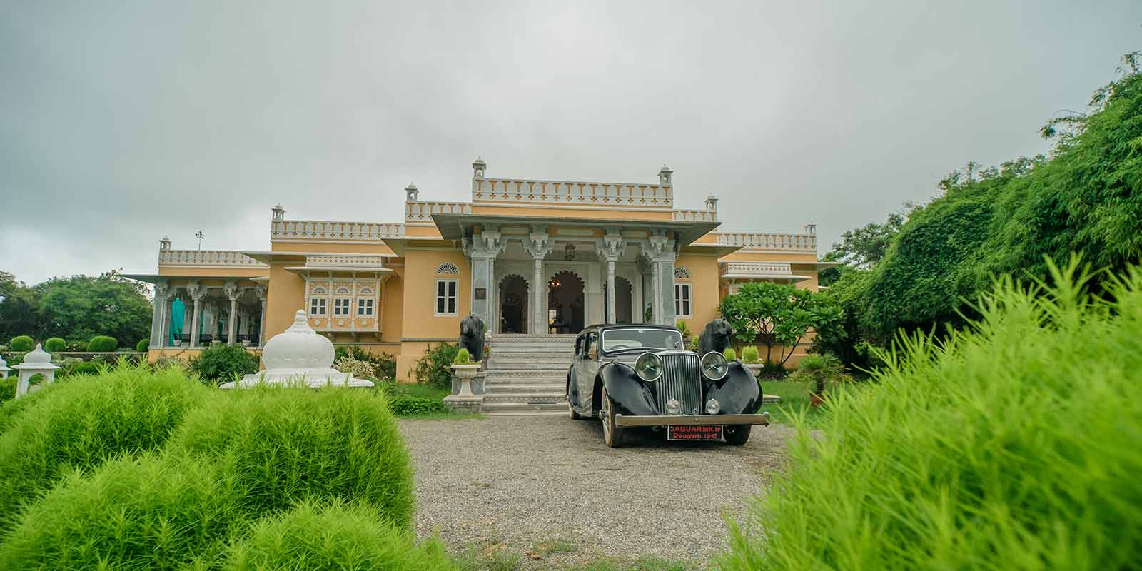 Devshree2.jpg