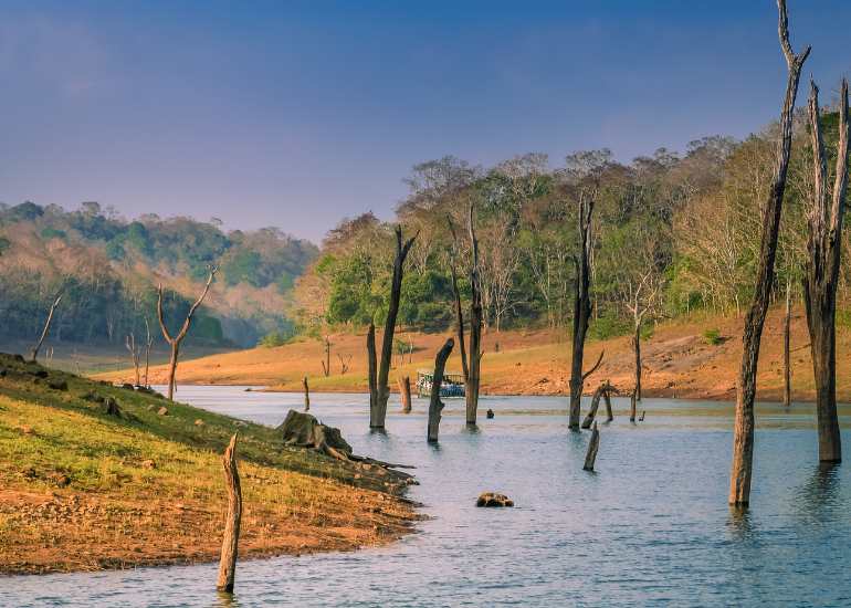 History-of-Periyar-National-Park.jpg