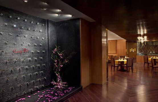 Radisson-Blu-Plaza-Delhi-16.jpg