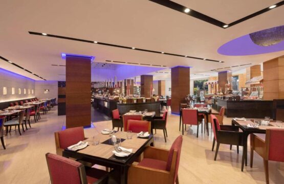Radisson-Blu-Plaza-Delhi-26.jpg