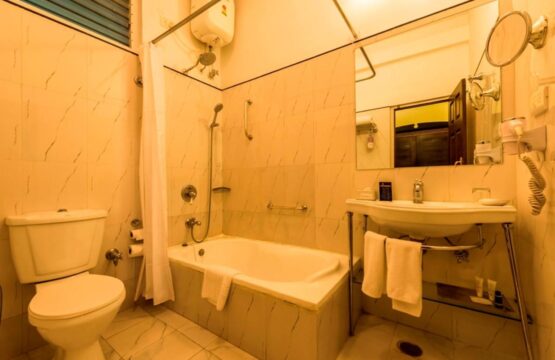 Royal-Orchid-Metropole-Mysore-10.jpg