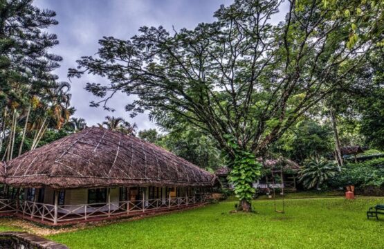 Spice-Village-Surroundings-6.jpg