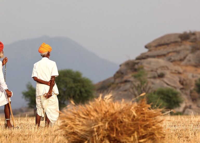 Sujan-Jawai-770x550.jpg
