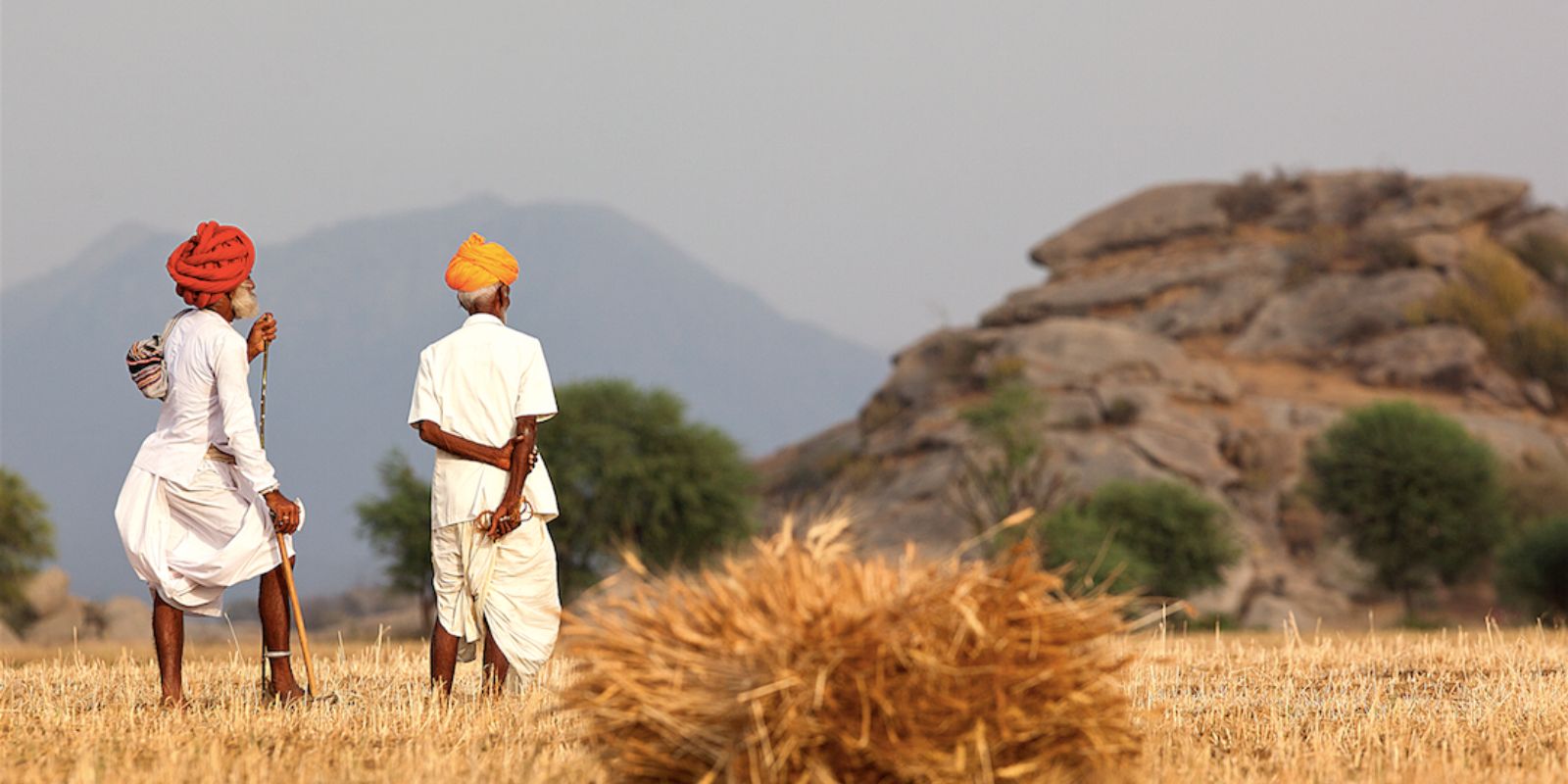 Sujan-Jawai.jpg