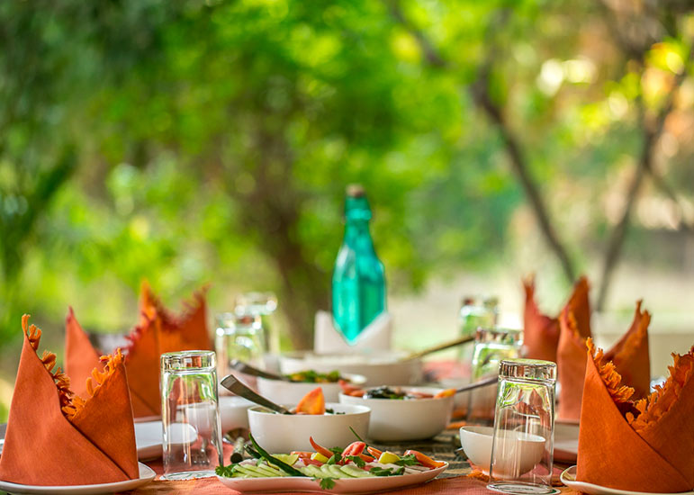 bandhavgarh-jungle-lodge1-1.jpg