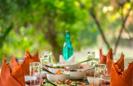 bandhavgarh-jungle-lodge1-4.jpg