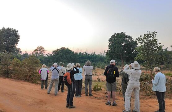 bandhavgarh-jungle-lodge11.jpg