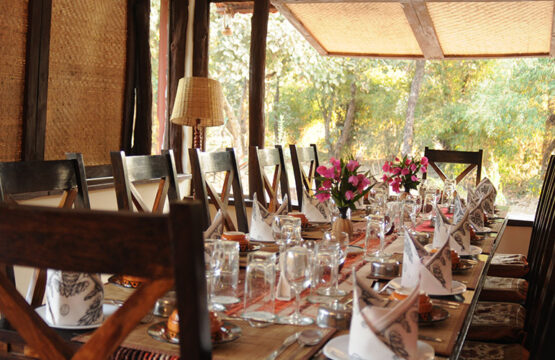 bandhavgarh-jungle-lodge2-1.jpg