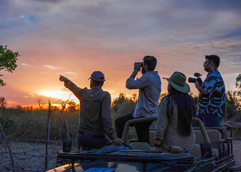 bandhavgarh-jungle-lodge3-1.jpg