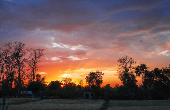 bandhavgarh-jungle-lodge3-5.jpg