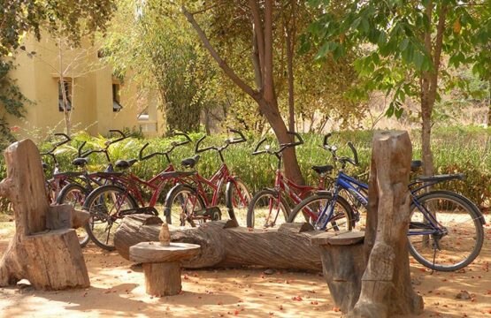 bandhavgarh-jungle-lodge9-1.jpg