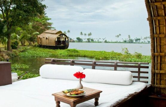 coconut-lagoon-2.jpg
