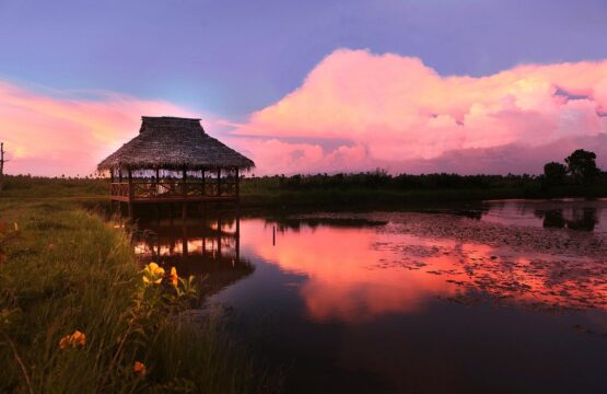 coconut-lagoon-4.jpg