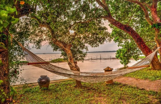 coconut-lagoon-is-located-1.jpg