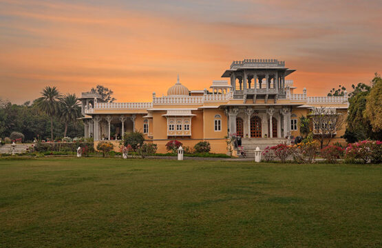devshree15-2-555x360.jpg