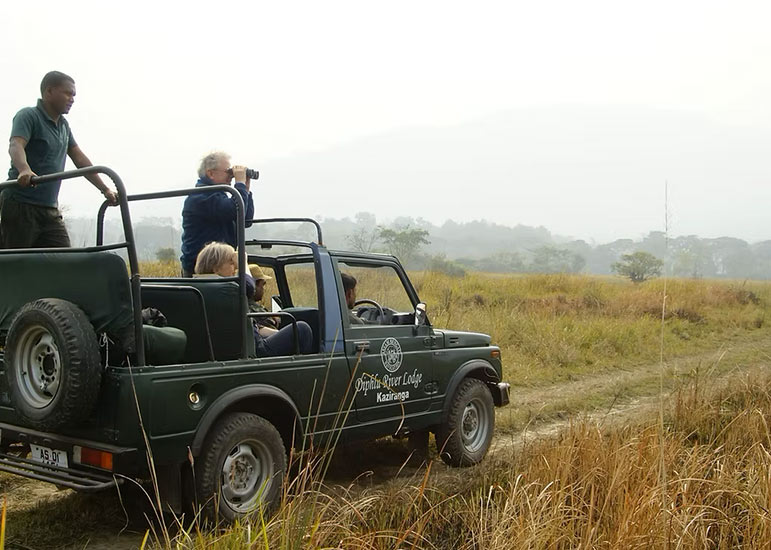 diphlu-river-lodge.jpg