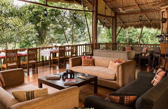 diphlu-river-lodge1-2.jpg