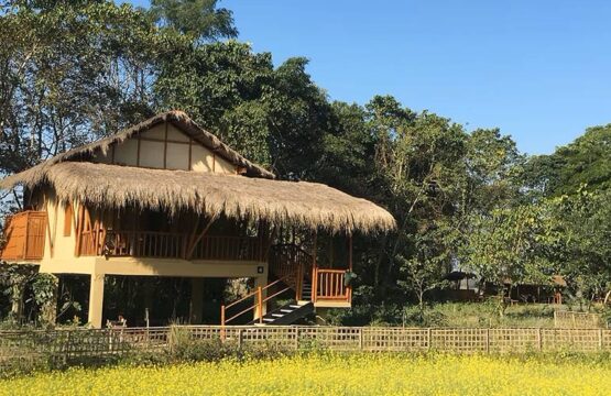 diphlu-river-lodge1-3.jpg