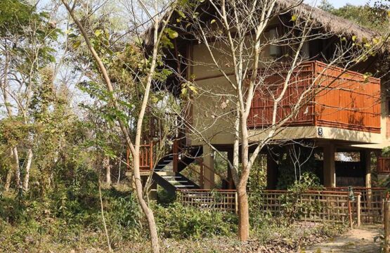 diphlu-river-lodge11.jpg