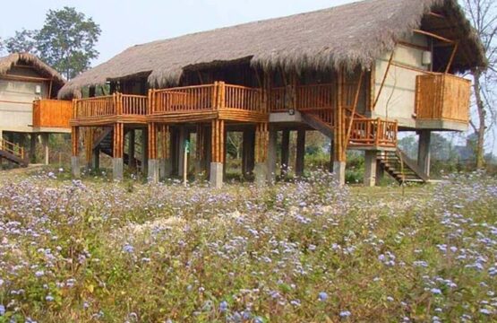 diphlu-river-lodge12.jpg
