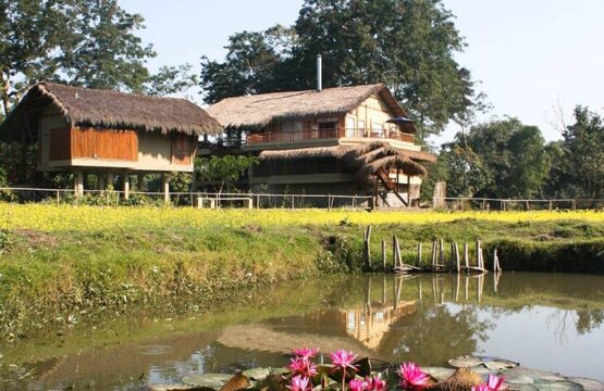 diphlu-river-lodge4-2.jpg