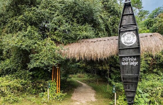 diphlu-river-lodge7.jpg