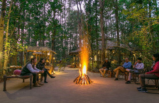 experience-1-555x360.jpg