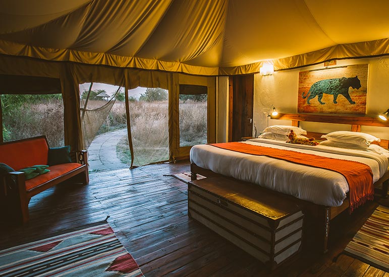 jamtara-wilderness-camp-2.jpg