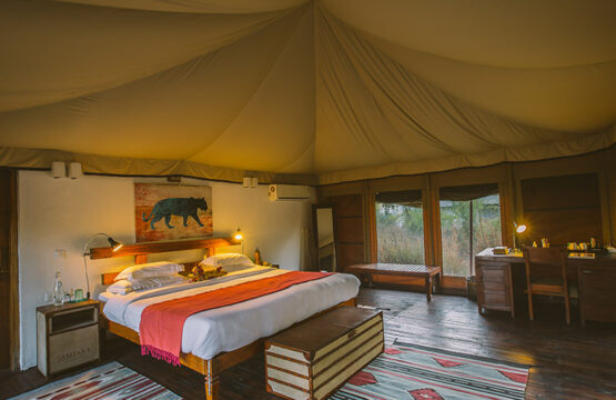 jamtara-wilderness-camp1-1-555x360.jpg