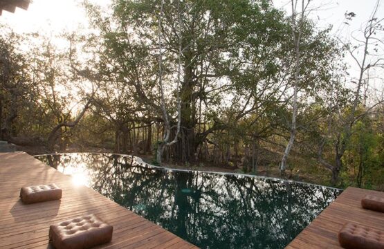 jamtara-wilderness-camp1-2.jpg