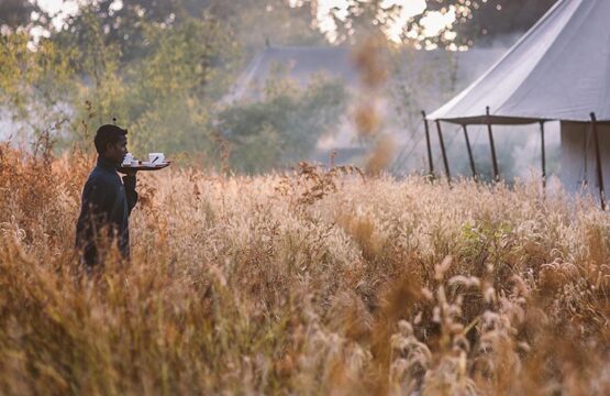 jamtara-wilderness-camp1-4.jpg
