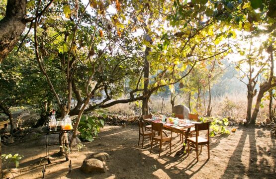 jamtara-wilderness-camp10-3.jpg