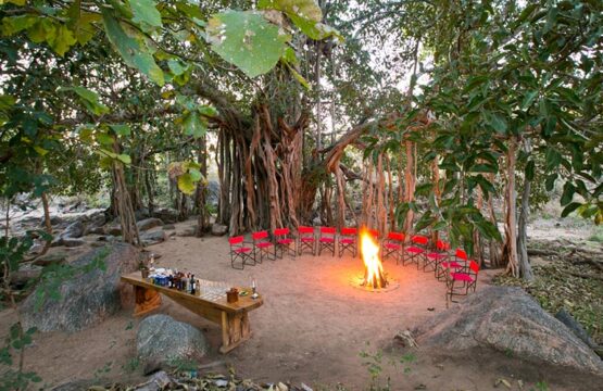 jamtara-wilderness-camp11-3.jpg