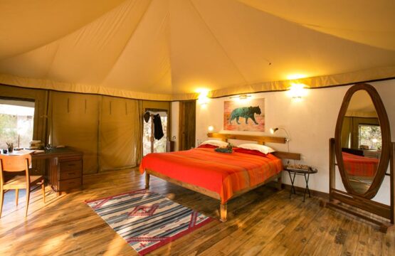 jamtara-wilderness-camp13.jpg
