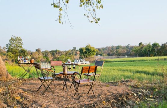 jamtara-wilderness-camp14.jpg