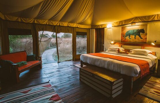 jamtara-wilderness-camp2-1.jpg