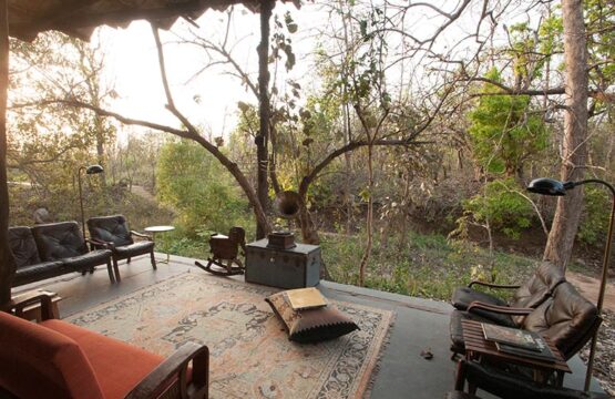 jamtara-wilderness-camp2-2.jpg