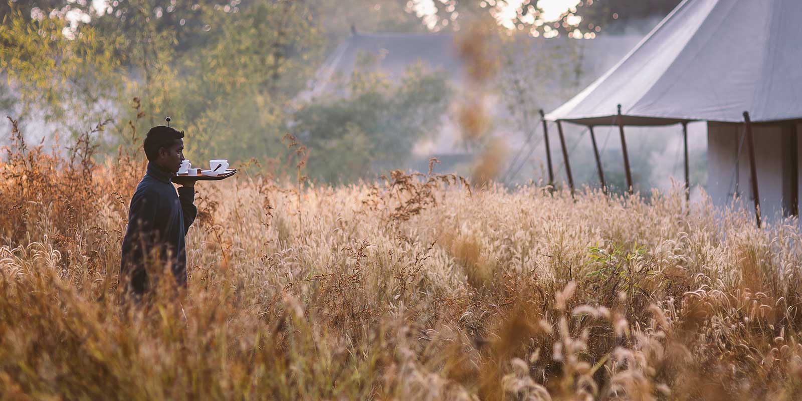 jamtara-wilderness-camp2.jpg