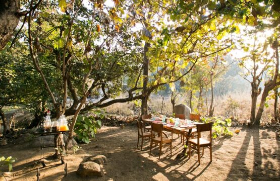 jamtara-wilderness-camp3-3.jpg