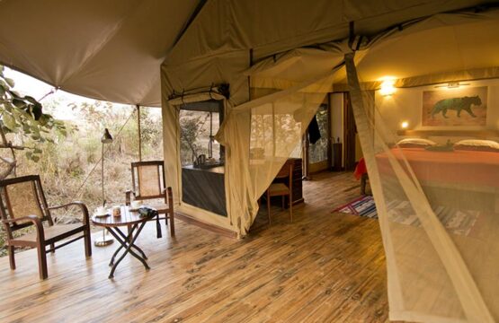 jamtara-wilderness-camp4-1.jpg