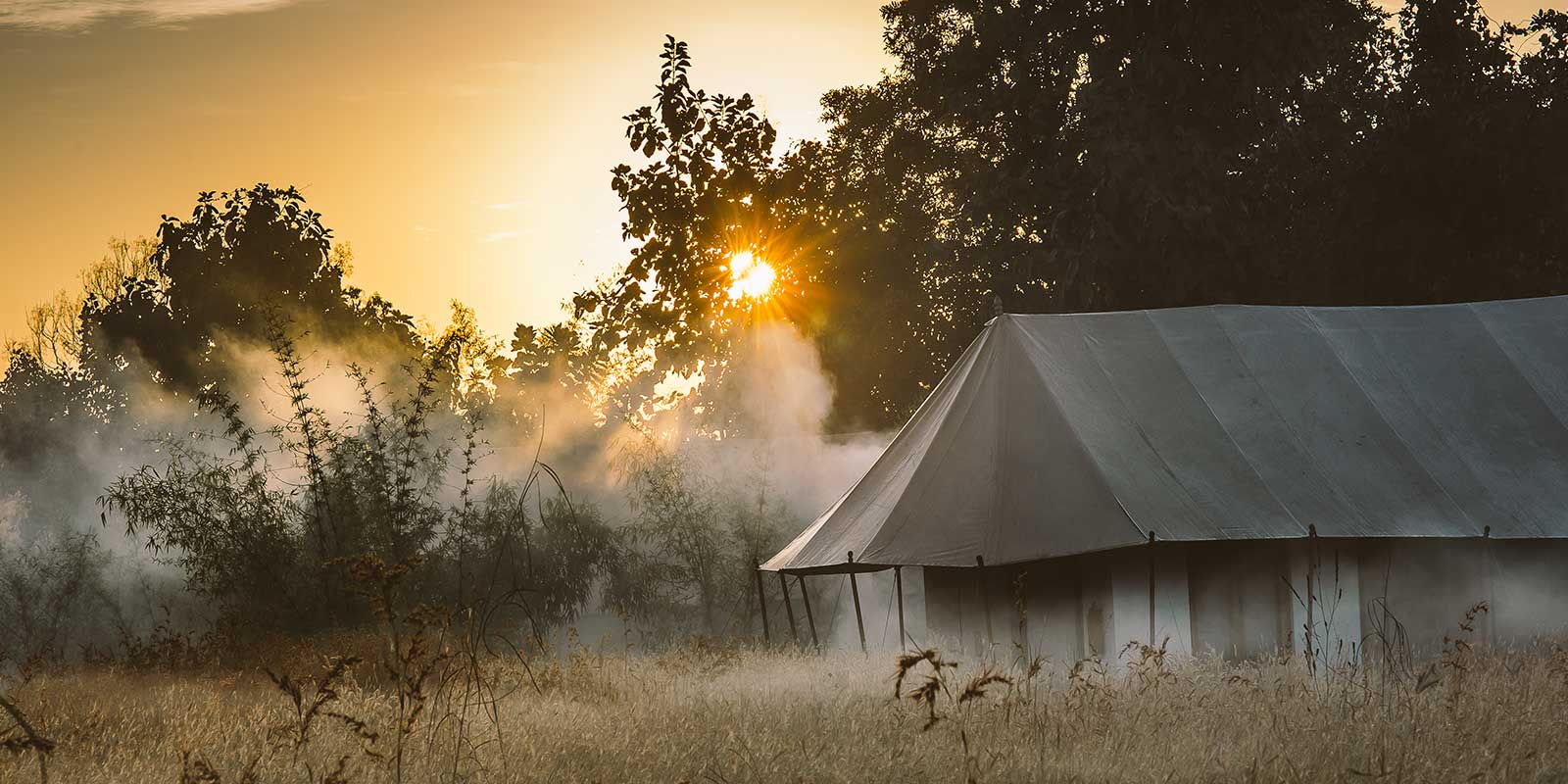 jamtara-wilderness-camp4.jpg