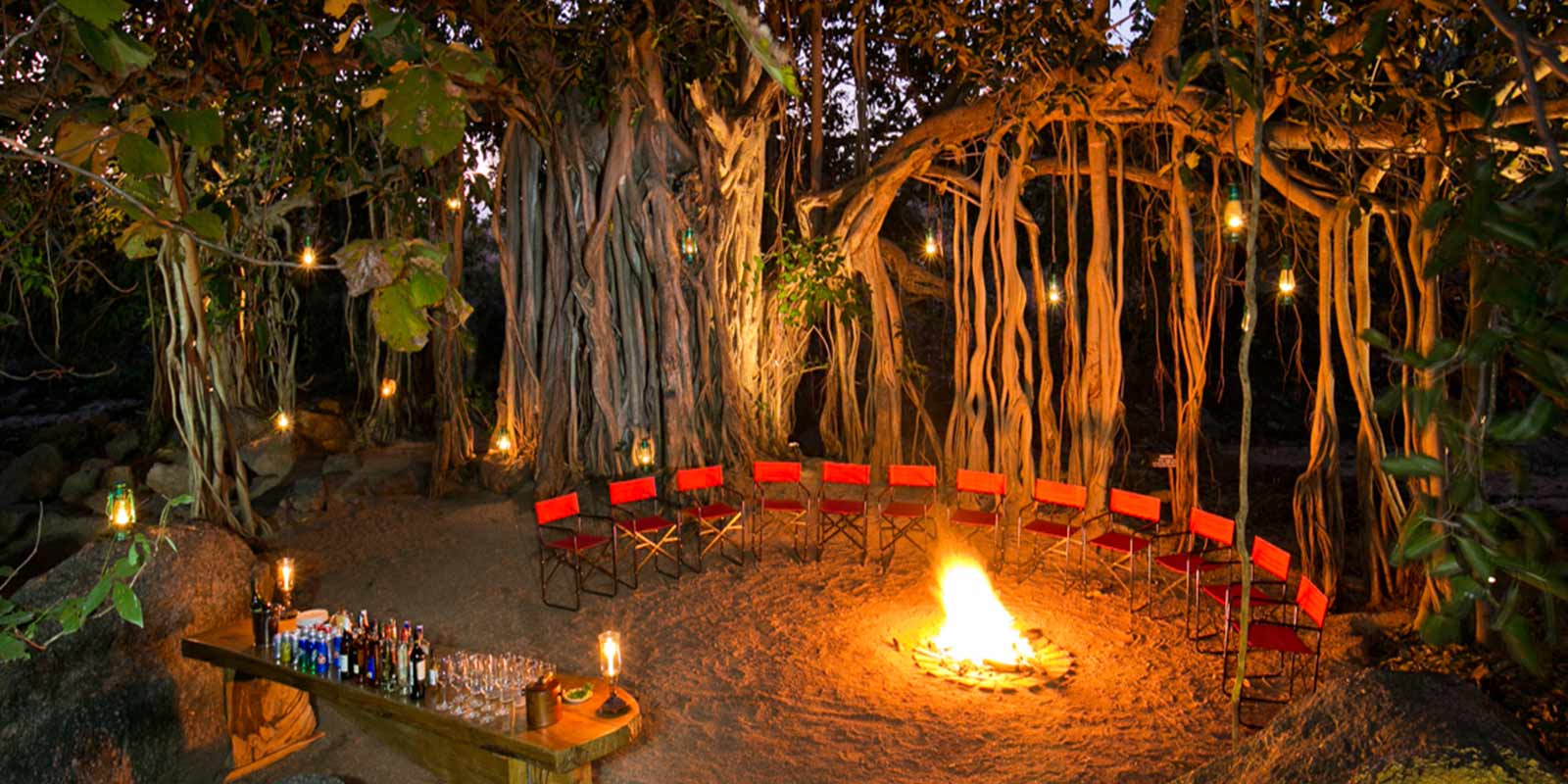 jamtara-wilderness-camp5.jpg