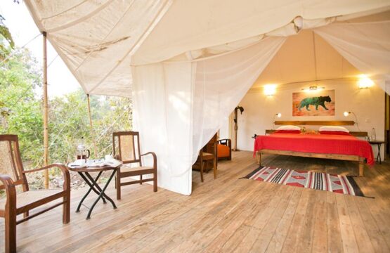 jamtara-wilderness-camp6-1.jpg