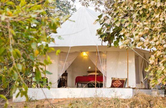 jamtara-wilderness-camp7-1.jpg