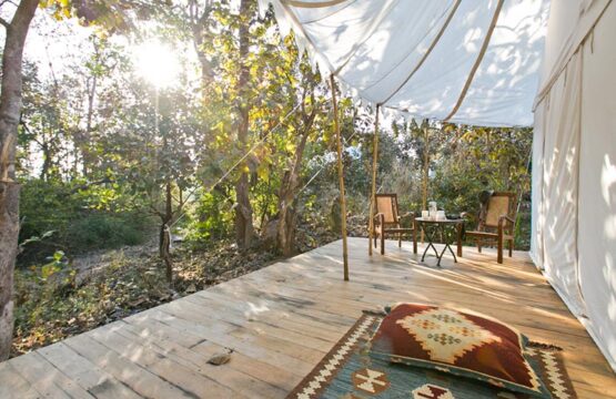 jamtara-wilderness-camp8-1.jpg