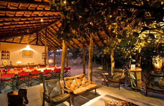 jamtara-wilderness-camp8-2.jpg
