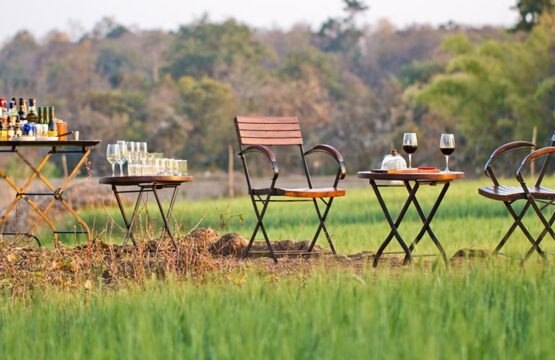 jamtara-wilderness-camp9-3.jpg