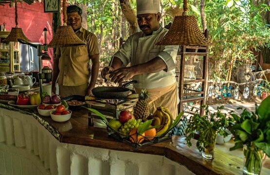 kanha-jungle-lodge11-2.jpg