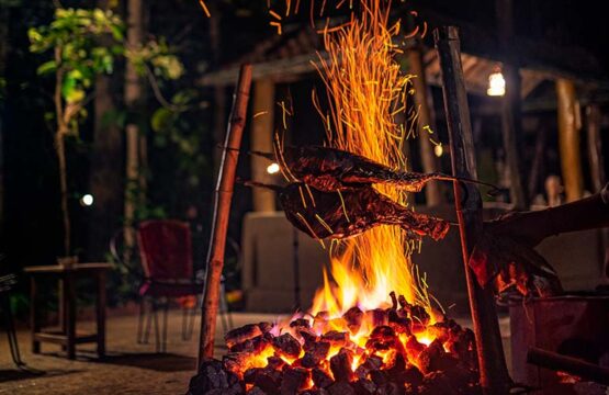 kanha-jungle-lodge12-1.jpg